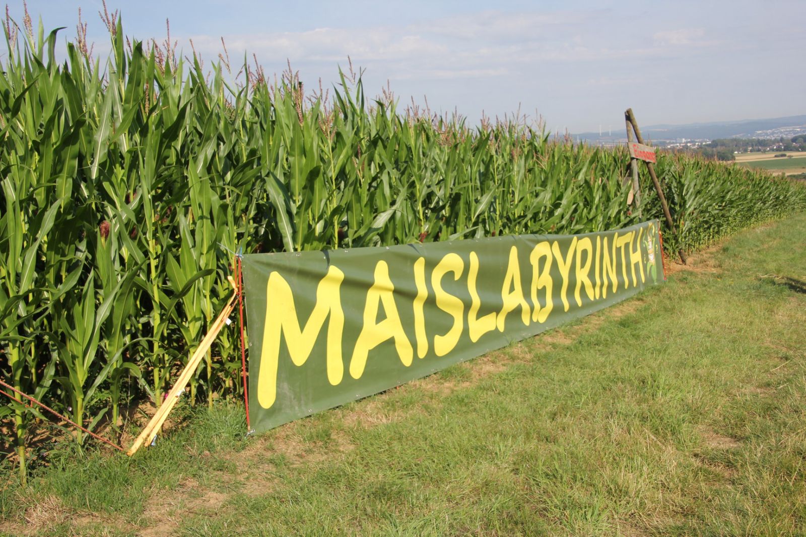Maislabyrinth Mensfelden