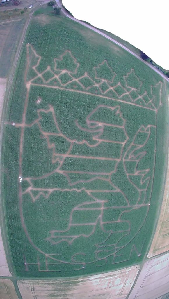 Maislabyrinth Mensfelden