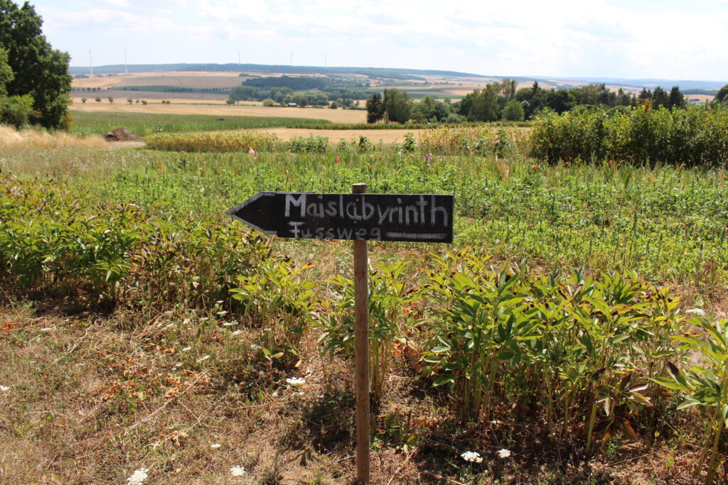 Sehenswürdigkeit Maislabyrinth Limburg