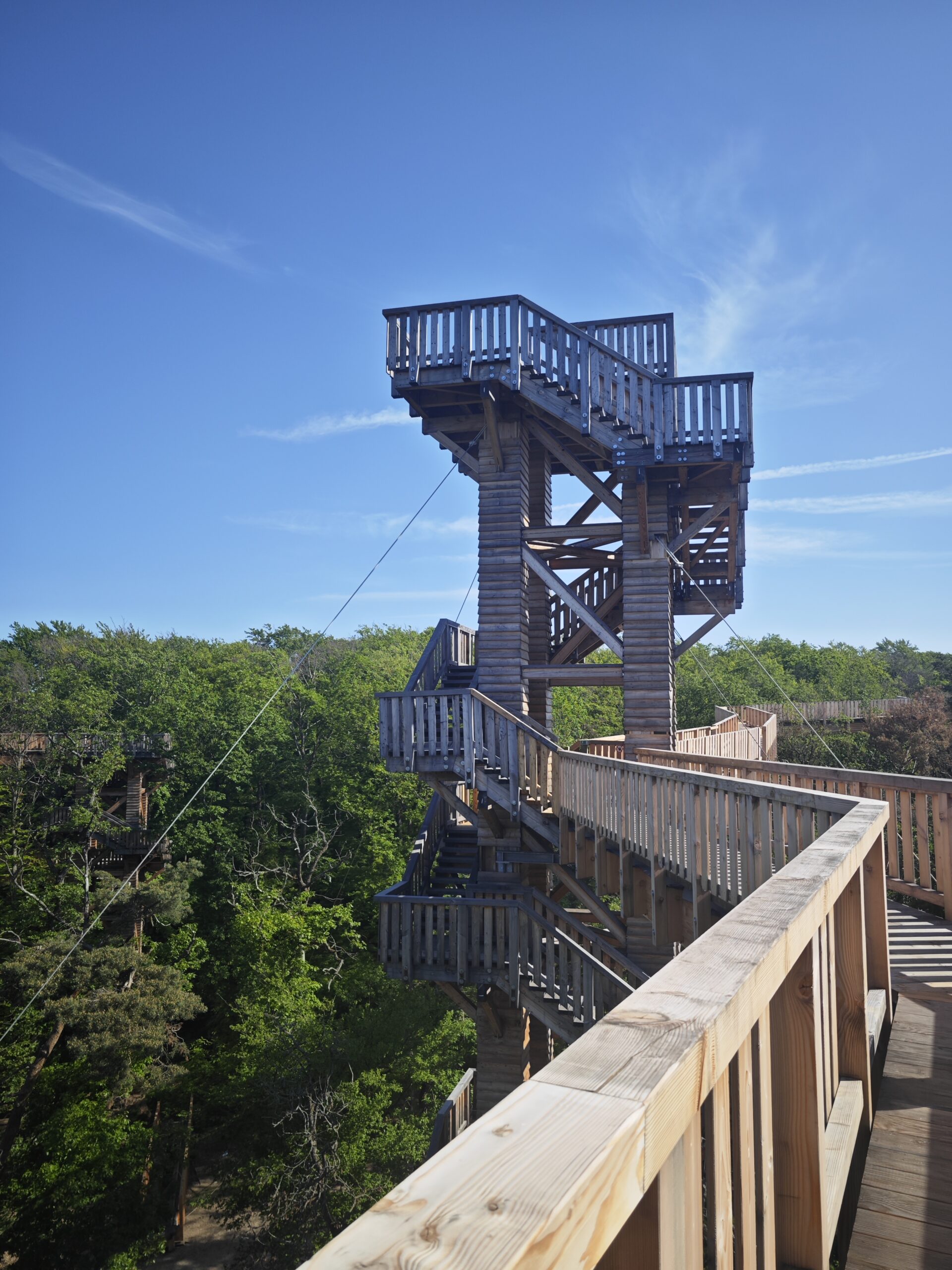 31 Meter hoch hinaus auf dem Baumwipfelweg Bad Camberg
