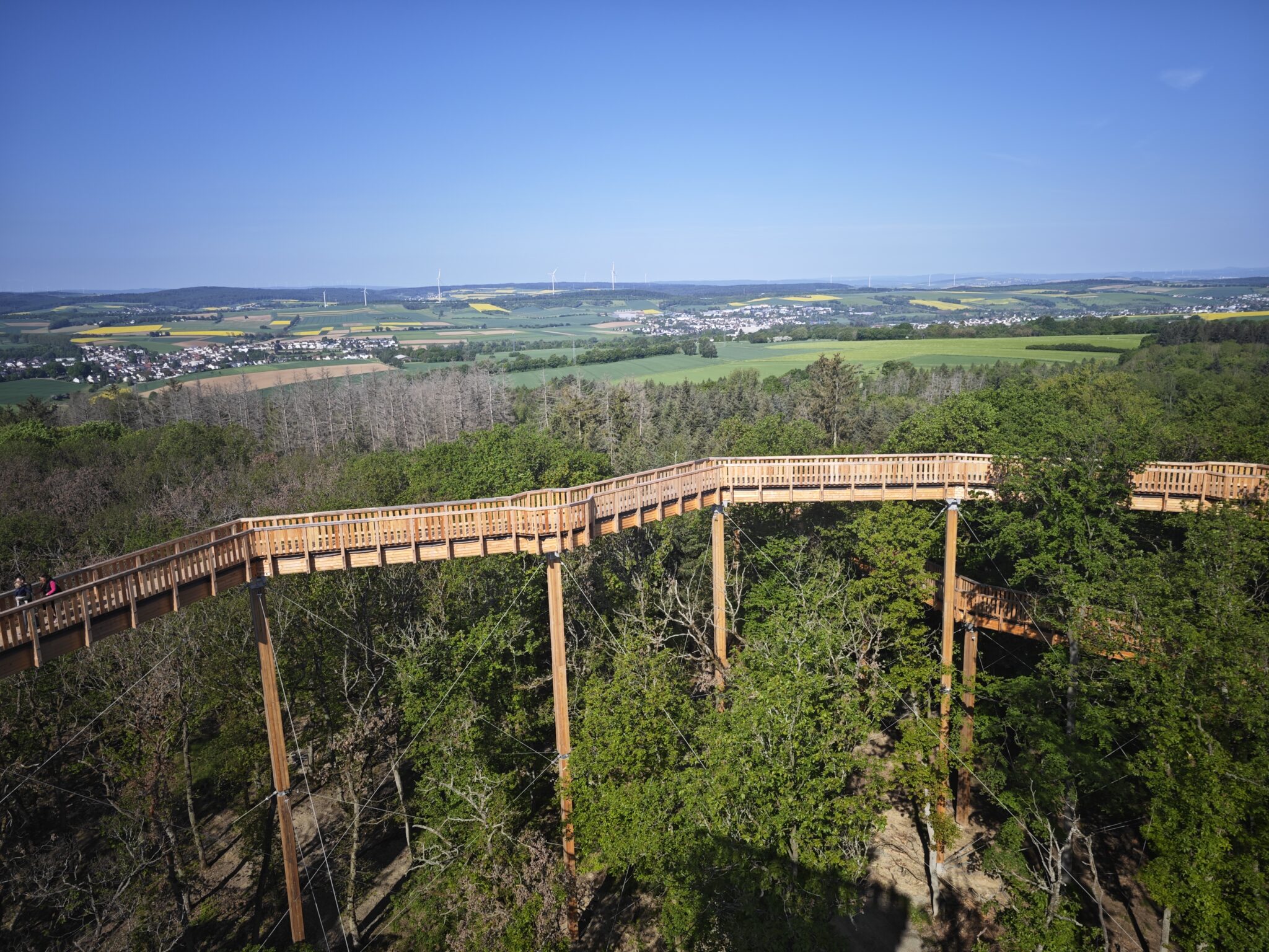 31 Meter hoch hinaus auf dem Baumwipfelweg Bad Camberg
