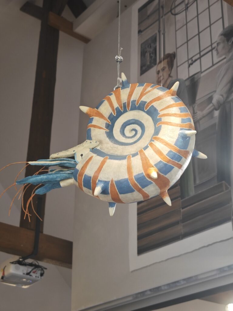 Auf dem Bild seht ihr die 3D Darstellung eines Nautilus subtuberculatus