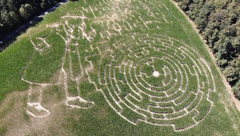 Maislabyrinth Aulenhausen
