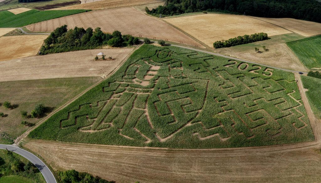 Maislabyrinth Aulenhausen von oben