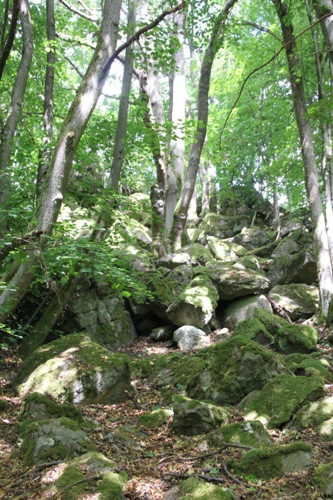 Waldweg Heidenhäuschen