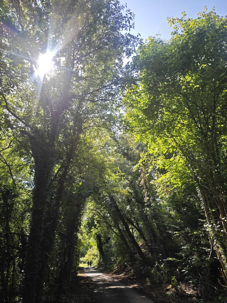 Natur erleben Limburg