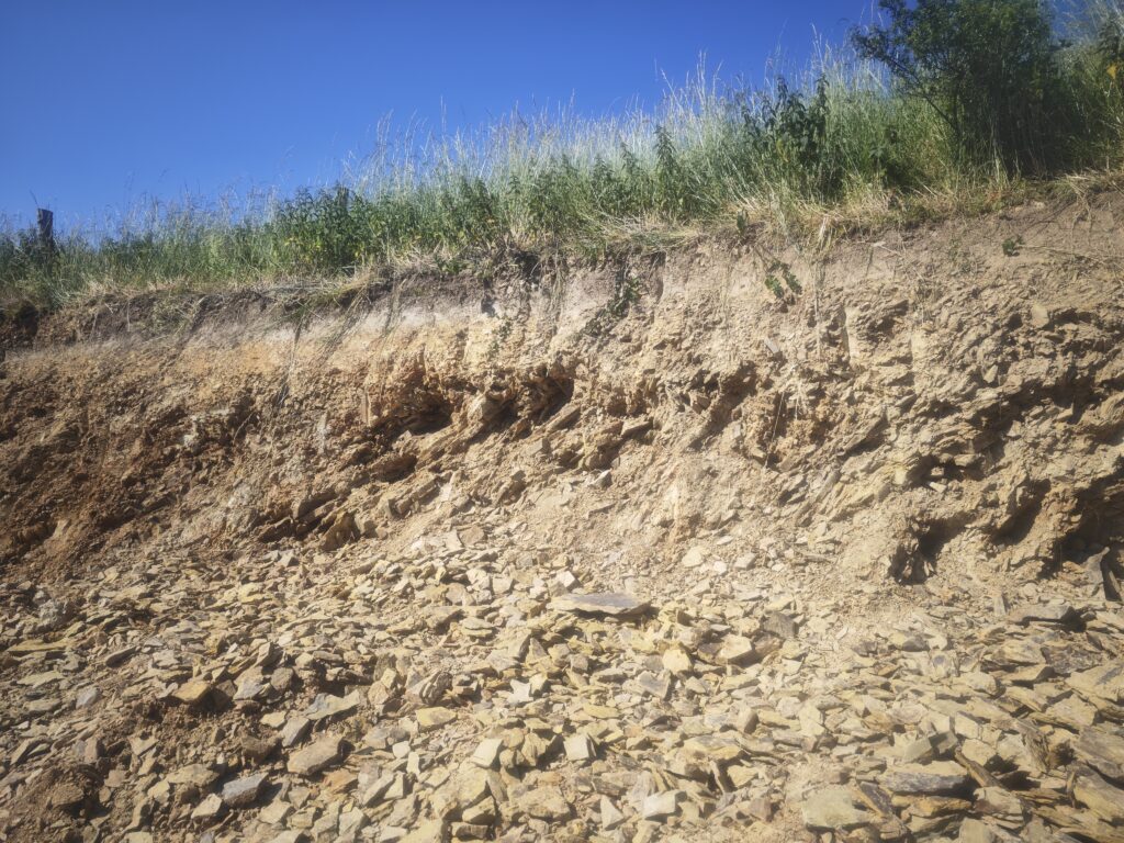 Fossilienfeld Löhnberg