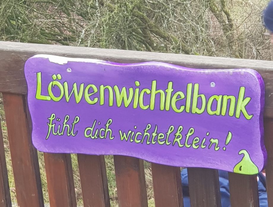 Löwenwichtel im Tiergarten Weilburg