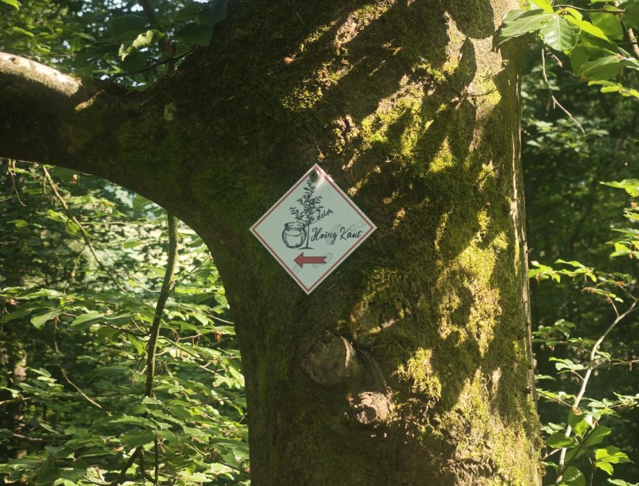 Hoingkautweg Barig-Selbenhausen