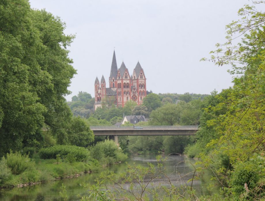 Limburger Dom