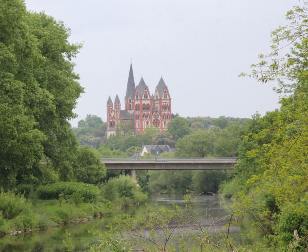 Limburger Dom