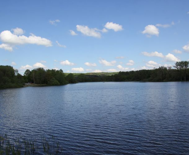Seeweiher Mengerskirchen
