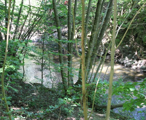 Weiltal Wandern Radfahren