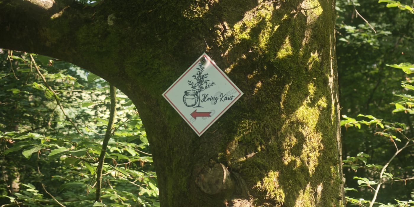 Hoingkautweg Barig-Selbenhausen