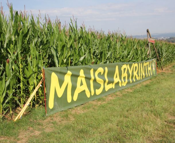 Maislabyrinth Mensfelden