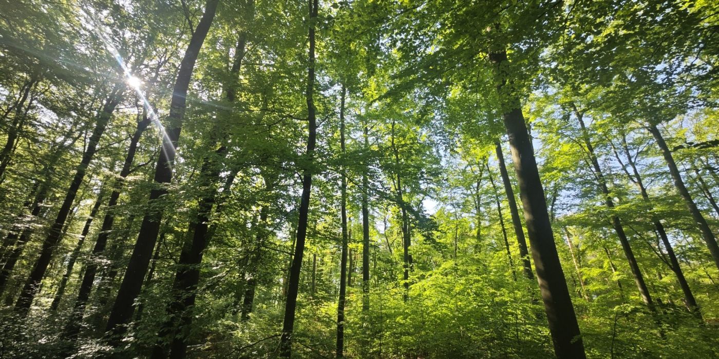 Waldbaden Limburg-Weilburg