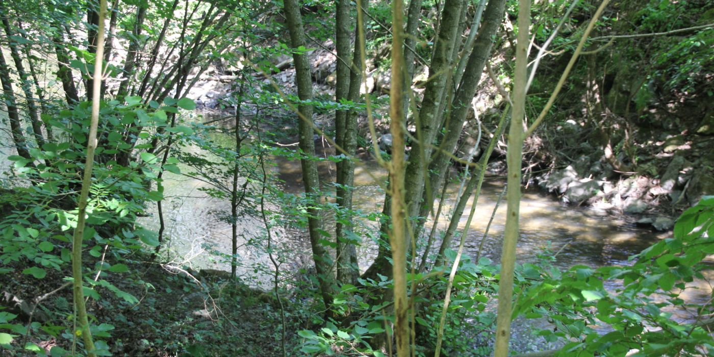 Weiltal Wandern Radfahren