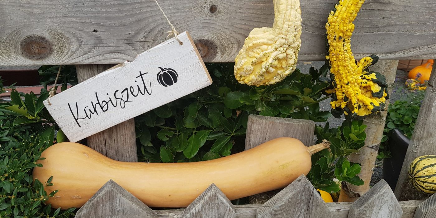 Kürbiswelten Mensfelden