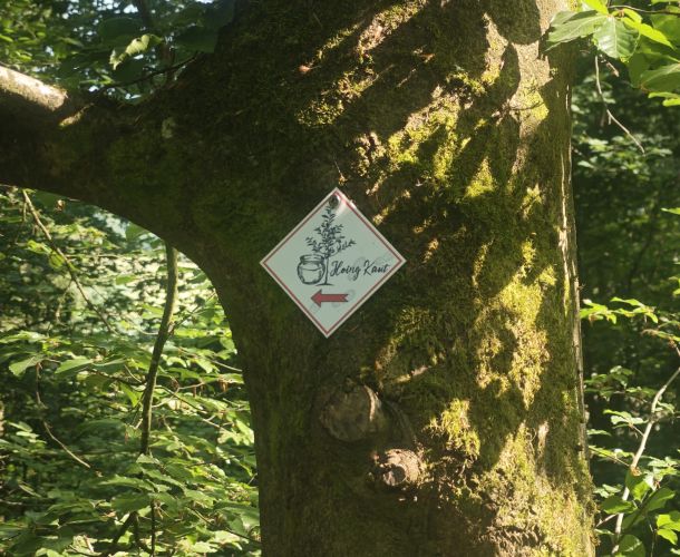 Hoingkautweg Barig-Selbenhausen