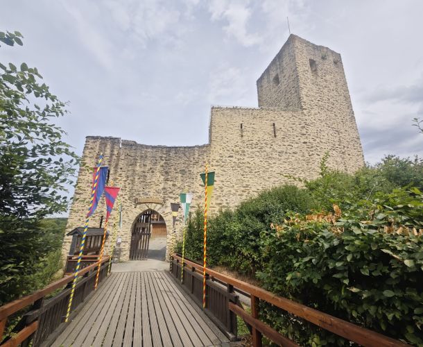 Burgruine Freienfels