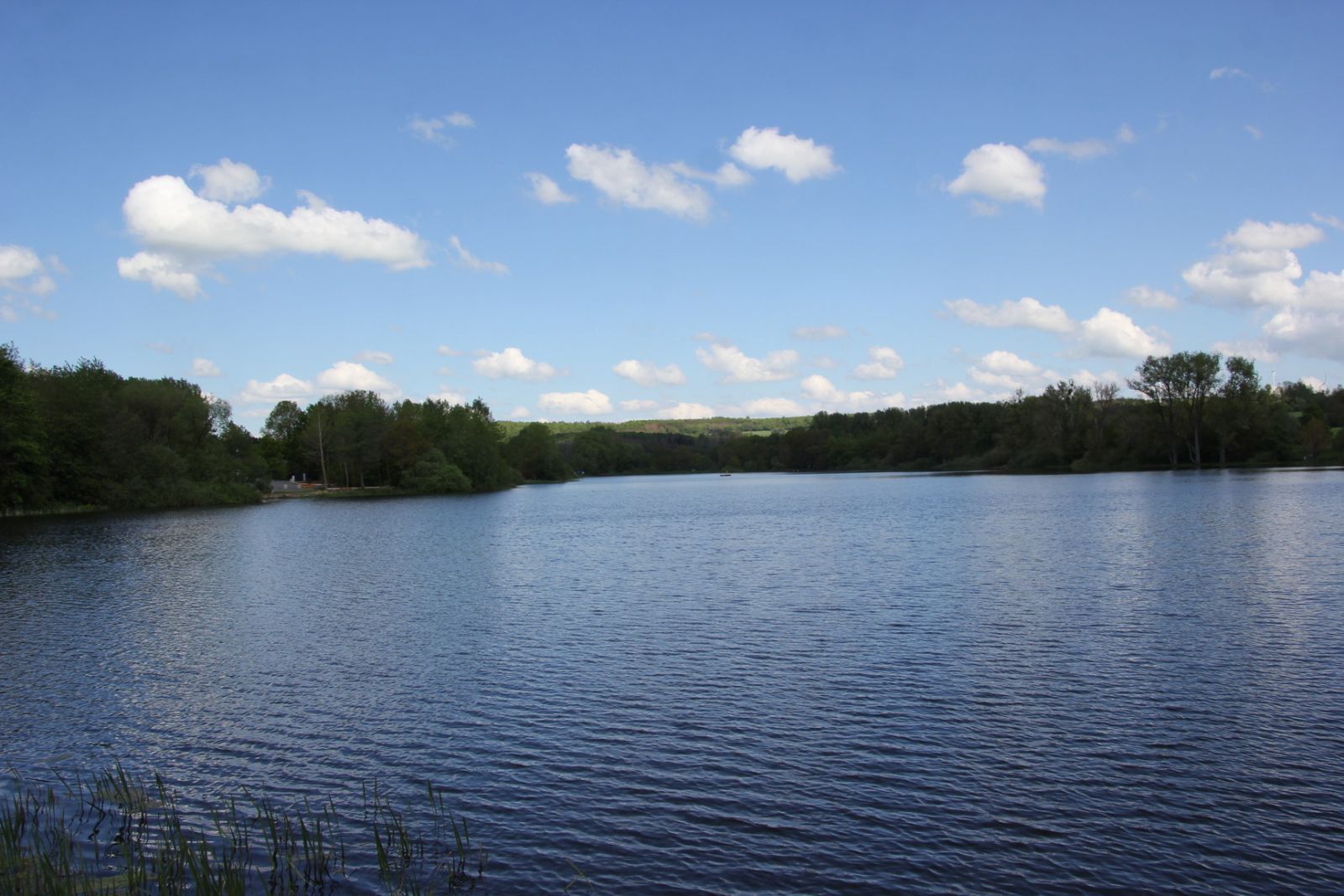 Seeweiher Mengerskirchen