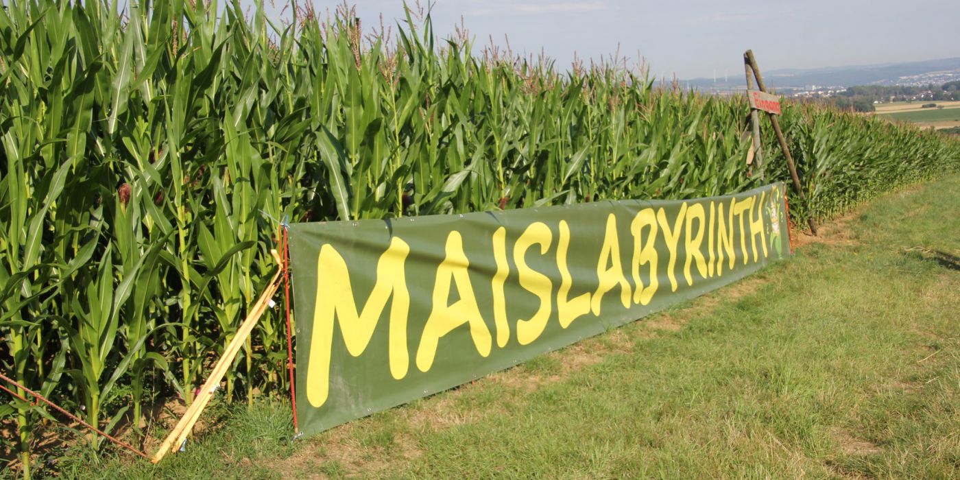 Maislabyrinth Mensfelden